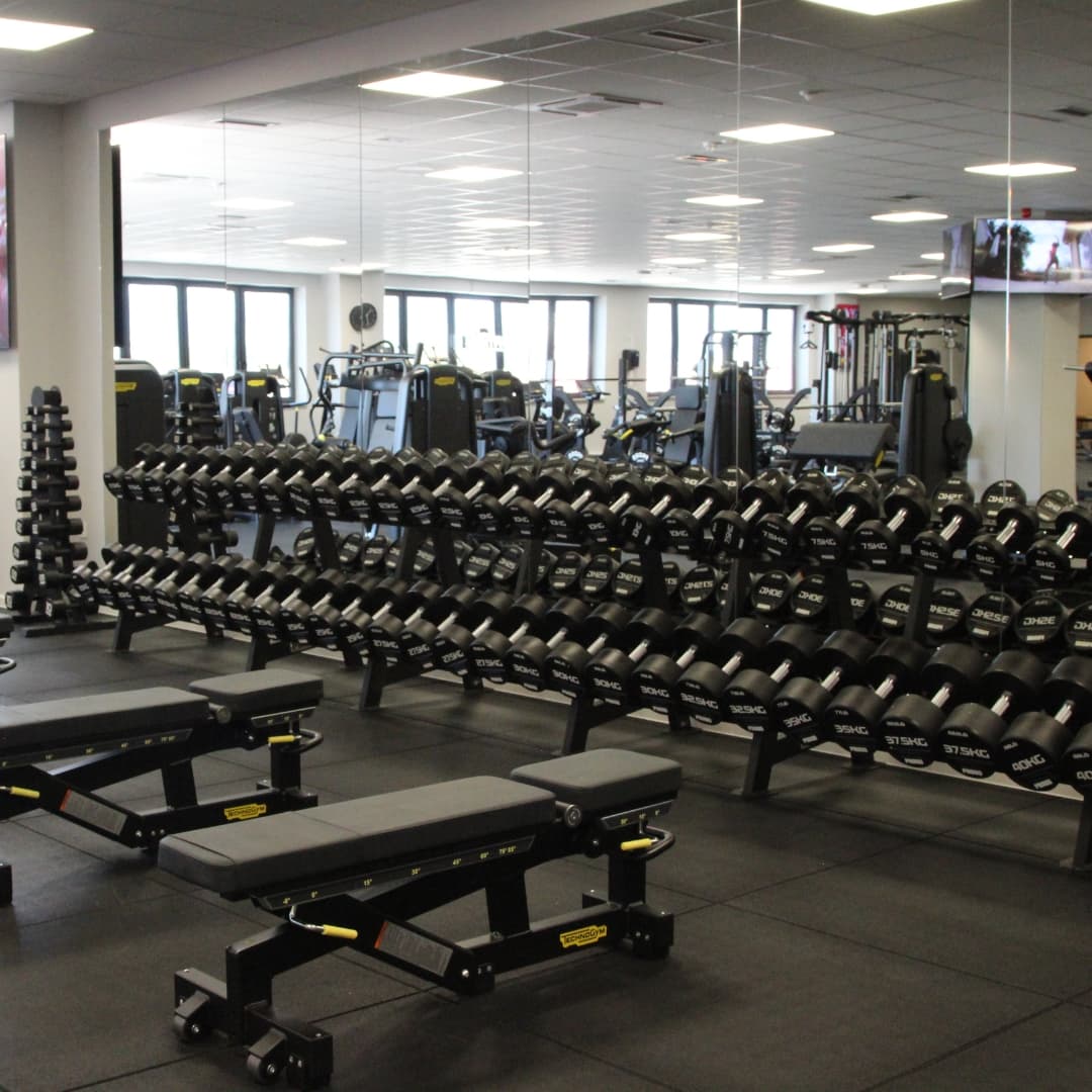 THE Fitness